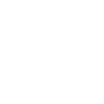 Sexual Health - Icon 1